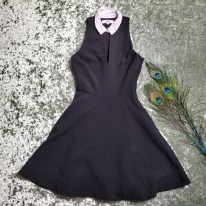 Likely Fit & Flare White Collar Black Dress